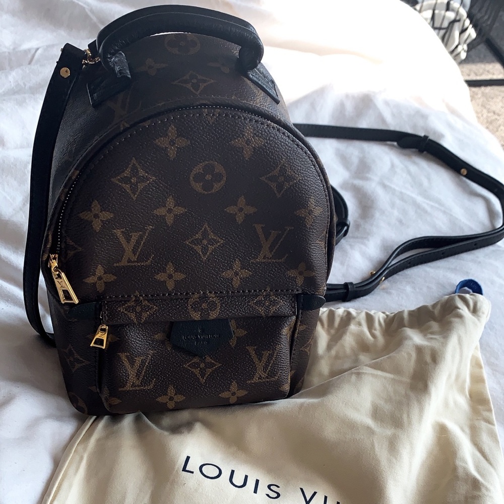 Louis Vuitton Palm Springs mini